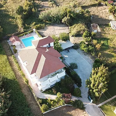Sunny Garden נידרי